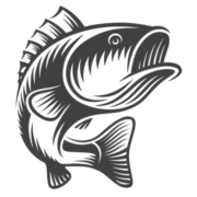 big-fish big-fish